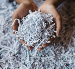 Hand,showing,heap,of,shredded,paper.,concept,of,recycle,and